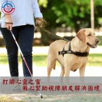 打開心靈之窗，用心幫助視障朋友解決困境